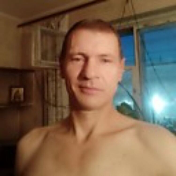  24065779  , 50 ,    