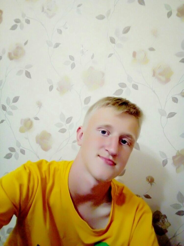 17445859  , 24 ,    
