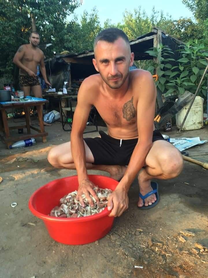  15824619  , 32 ,     