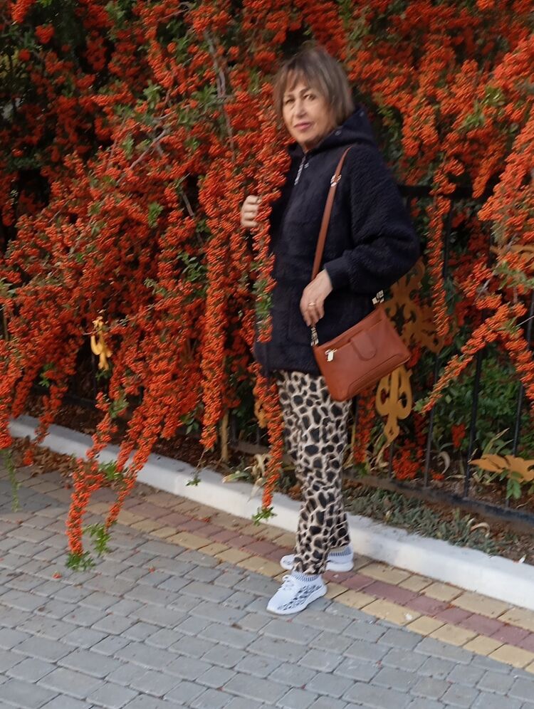 ���������� ��������, ���� ������� �������, 71 ���, ������������ ��� c�������� ���������