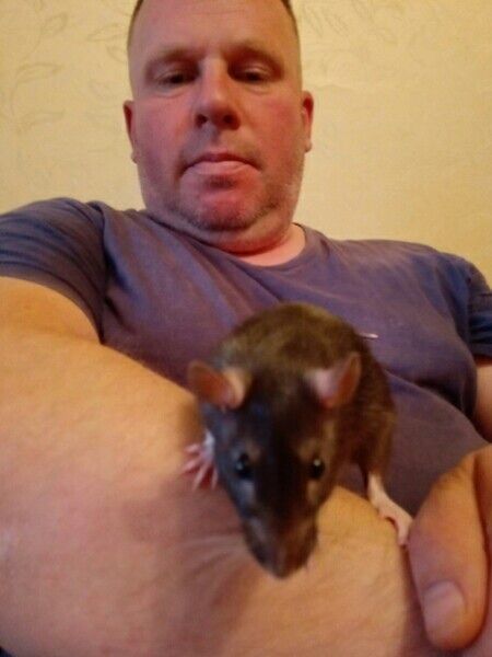 ���������� �����-���������, ���� ������� ������, 49 ���, ������������ ��� ����� � ���������, c�������� ���������, ���������