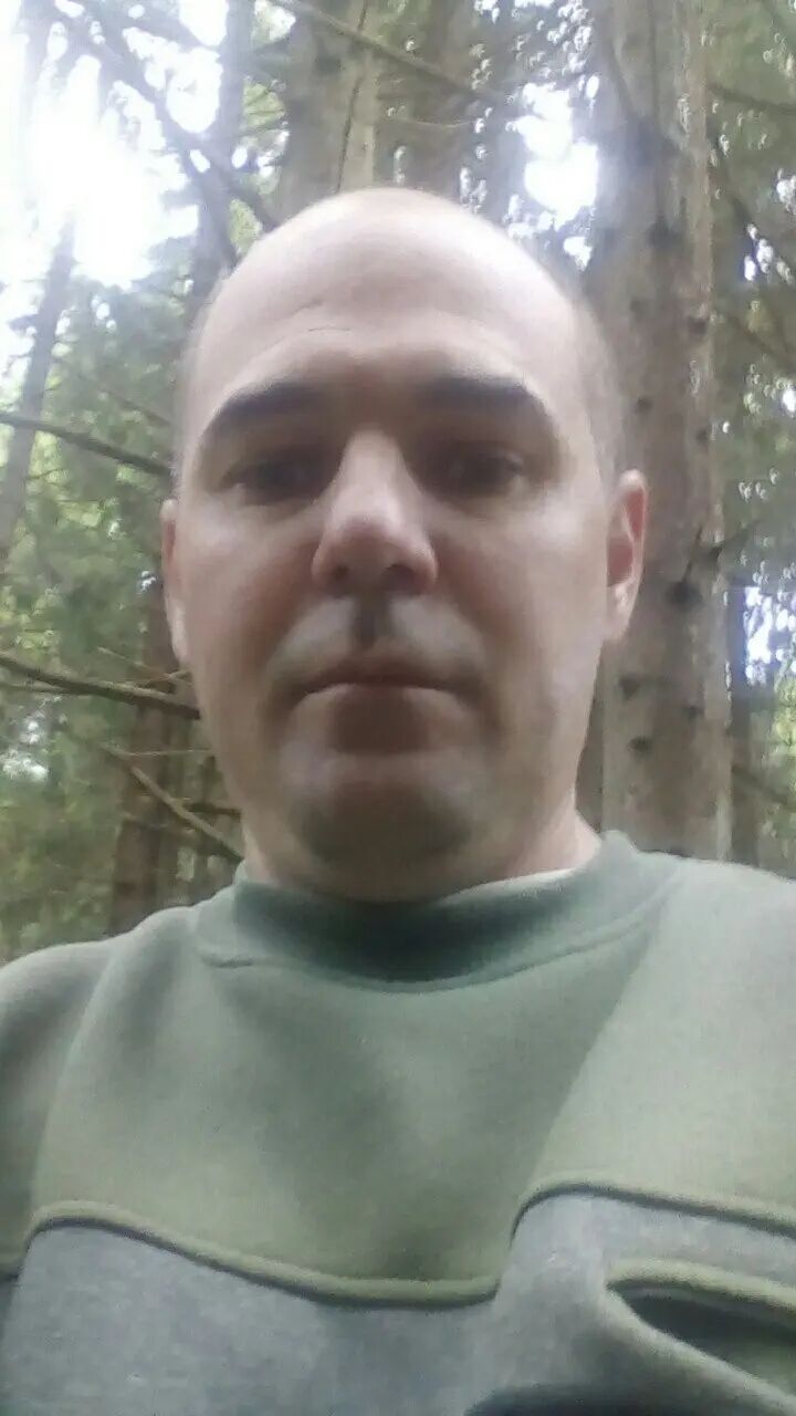  50537339  , 46 ,    