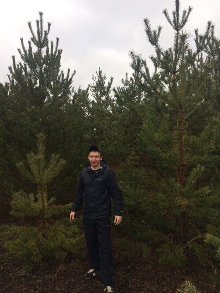 ���� 10668629 ������� ������, 30 ���, ���� ���������� � ������