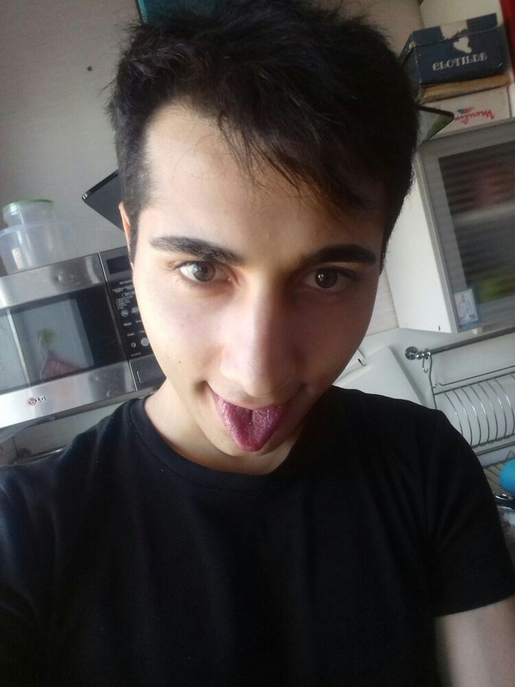  8355059  , 33 ,    -