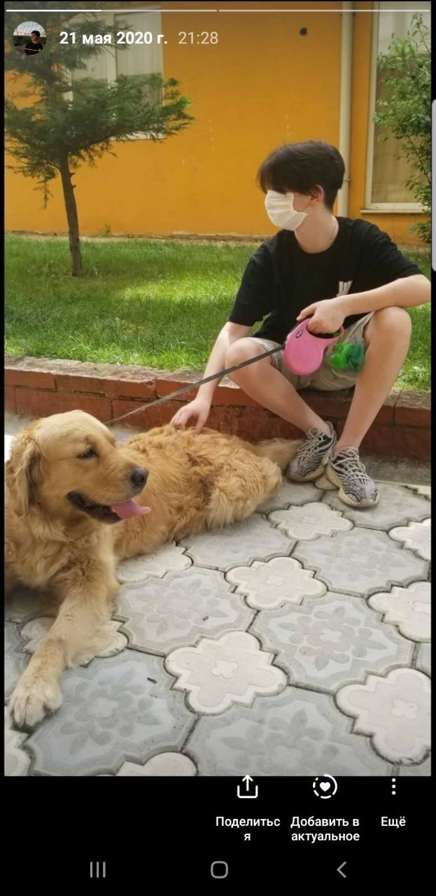 ���� 24583969 ����� ����, 22 ����, ���� ���������� � �����