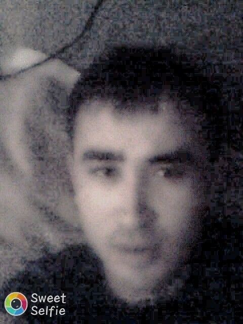 ���� 11099169 ������� Doni, 32 ����, ���� ���������� � ������