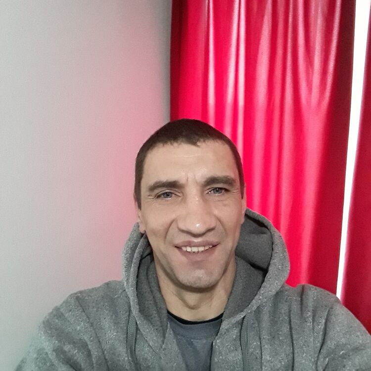  15867299  , 49 ,    