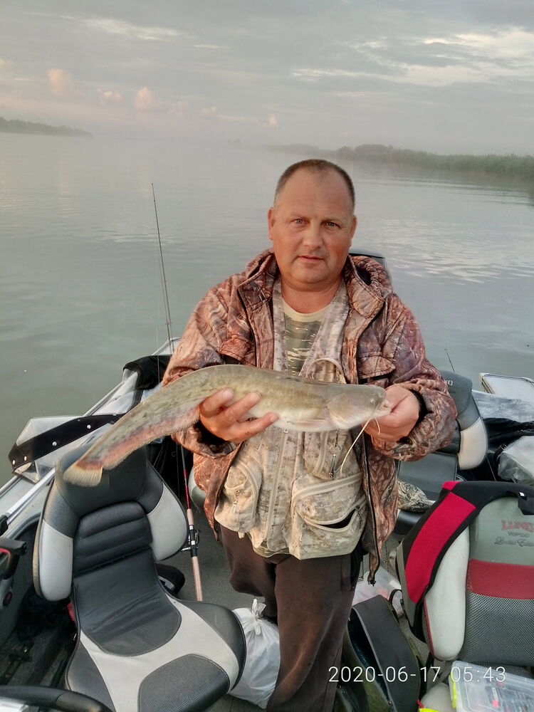  ,   , 54 ,   ,   , c , 
