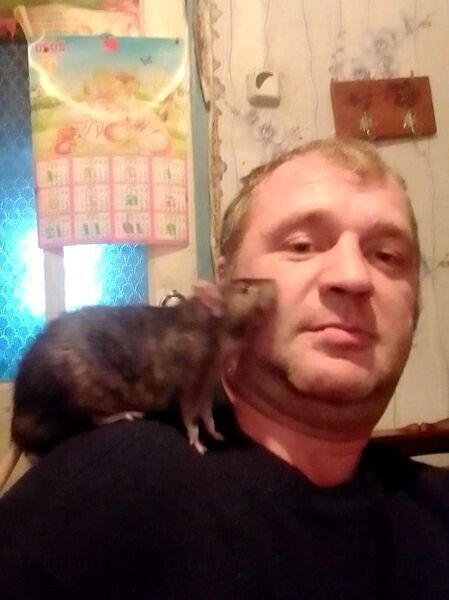 ���������� �����, ���� ������� ������, 45 ���, ������������ ��� ������, ����� � ���������