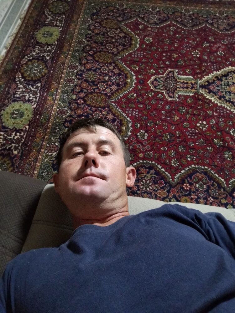  43583549  , 37 ,    