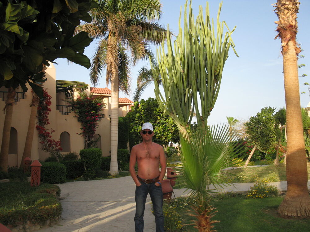 ���������� ������, ���� ������� ����, 56 ���, ������������ ��� ������, ����� � ���������, c�������� ���������