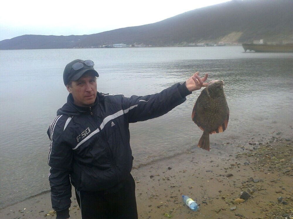 ���� 23593729 ������� ��������, 51 ���, ���� ���������� � ������������