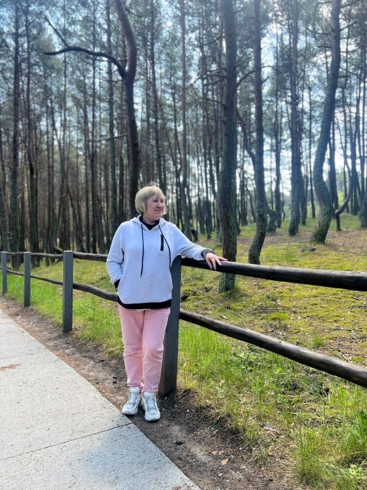  53351859  , 55 ,    -