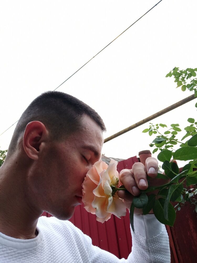 ���������� ������, ���� ������� ����, 28 ���, ������������ ��� ������, ����� � ���������, ���������