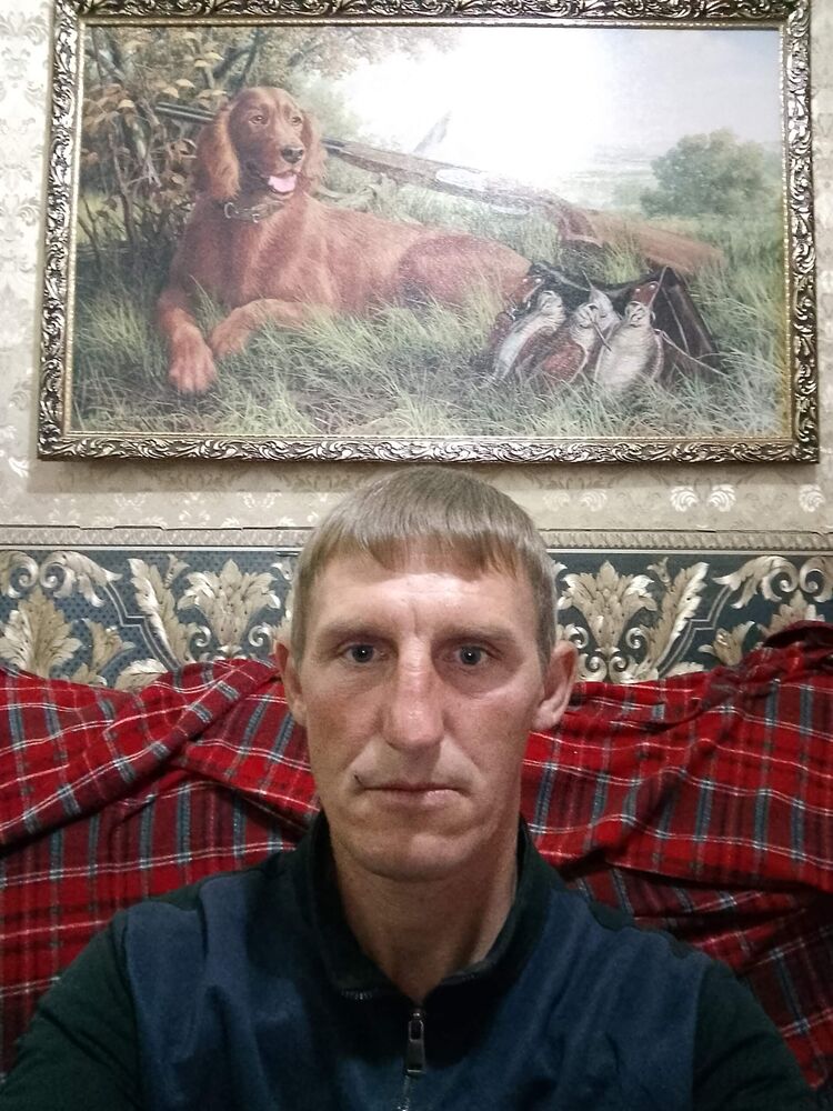  46422919  , 40 ,    