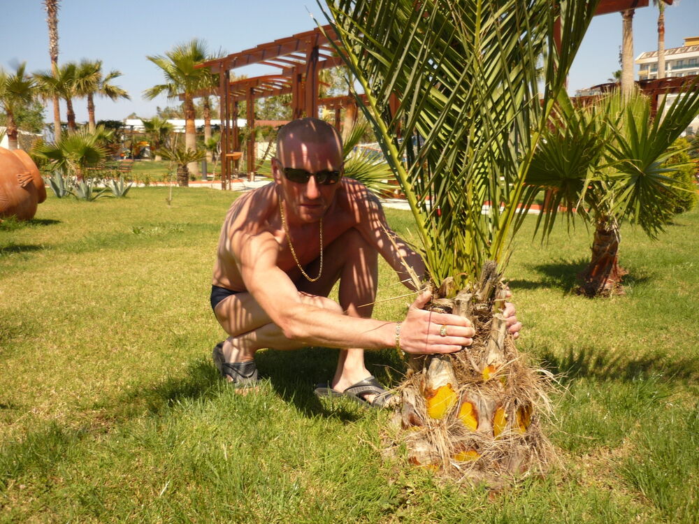 ���������� ������, ���� ������� ����, 41 ���, ������������ 