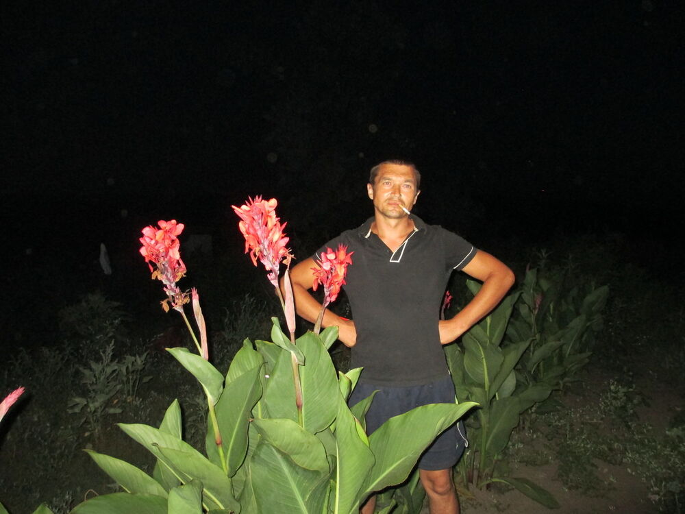 ���������� ����������, ���� ������� Vitaha, 45 ���, ������������ ��� ������