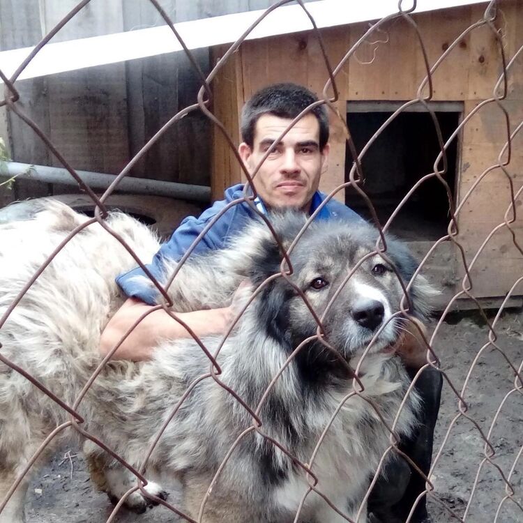  ,   Aleks kubik, 21 ,   ,   