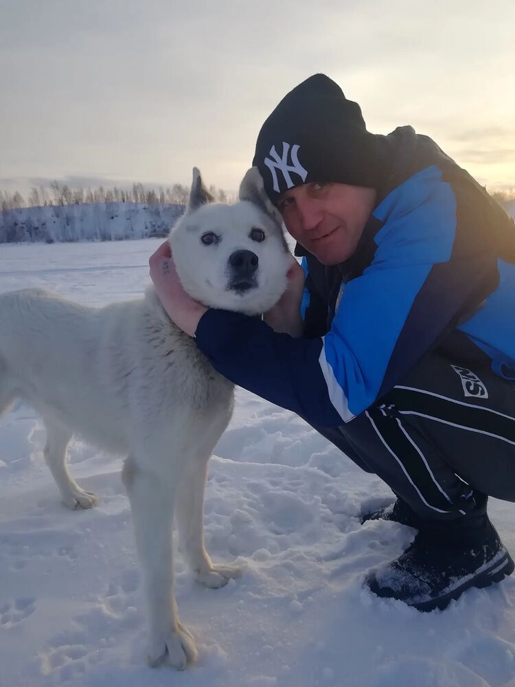 ���� 55519629 ������� ����, 38 ���, ���� ���������� � ����������