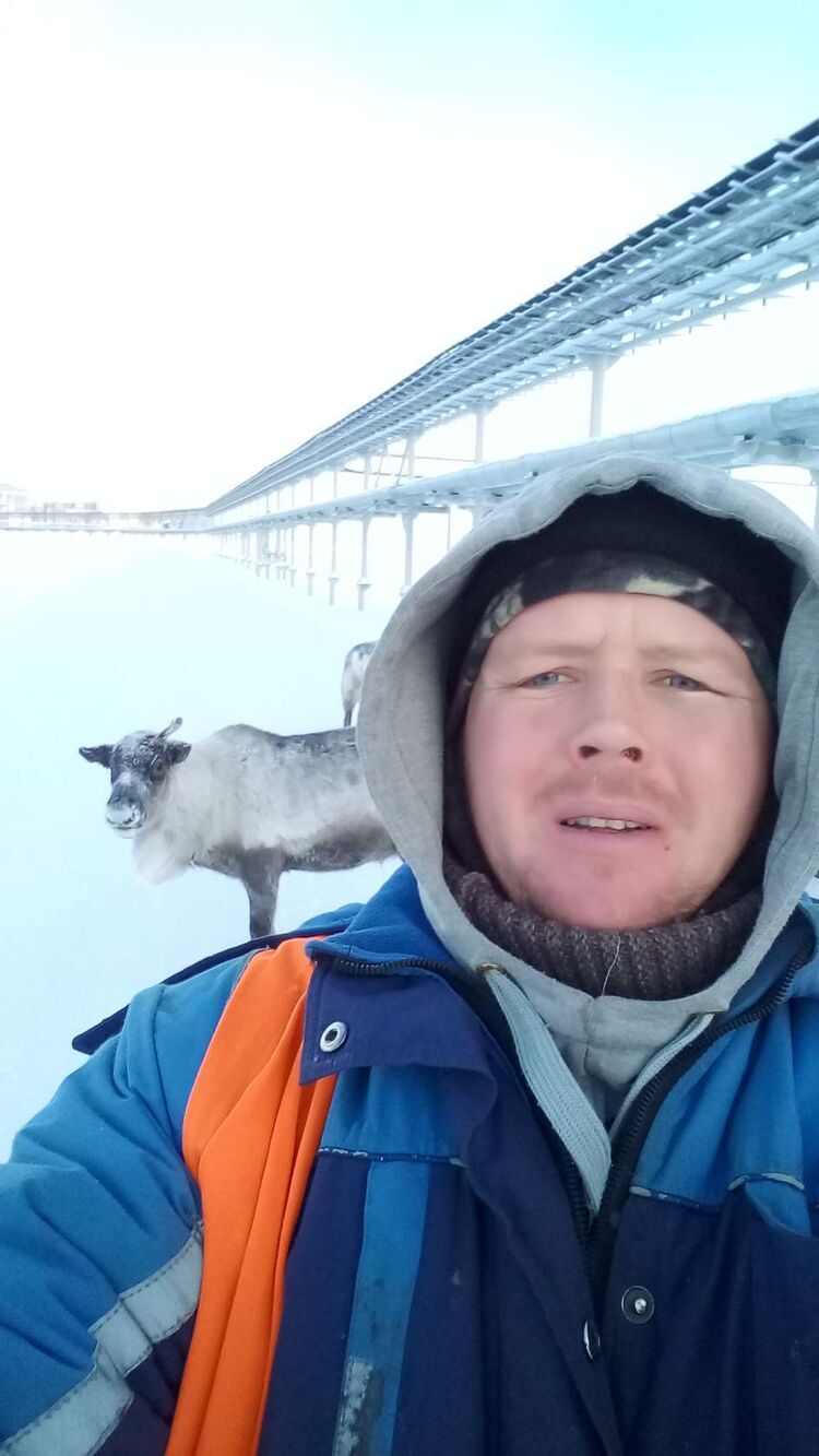 ���� 33855749 ������� ������, 39 ���, ���� ���������� � ����������