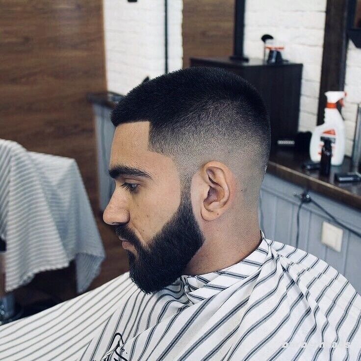 ���������� ���������, ���� ������� �����, 36 ���, ������������ ��� ������, ����� � ���������