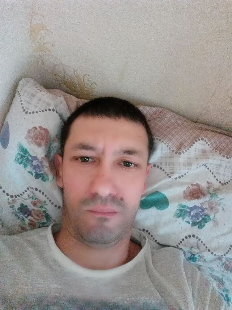  24813159  Faez, 46 ,    