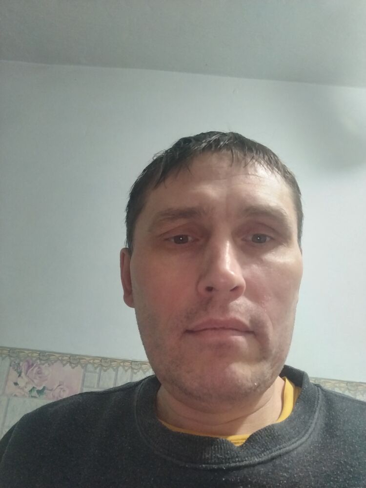  40498399  , 46 ,    