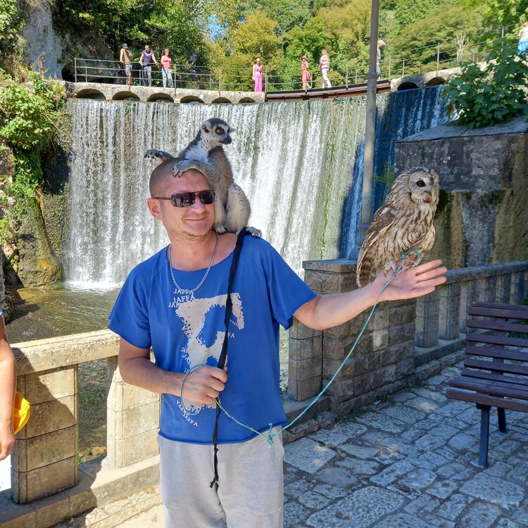  31471969  Roman, 43 ,    