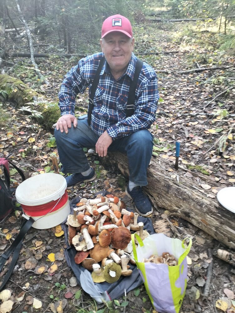 ���� 42690319 ������� ������, 71 ���, ���� ���������� � �����