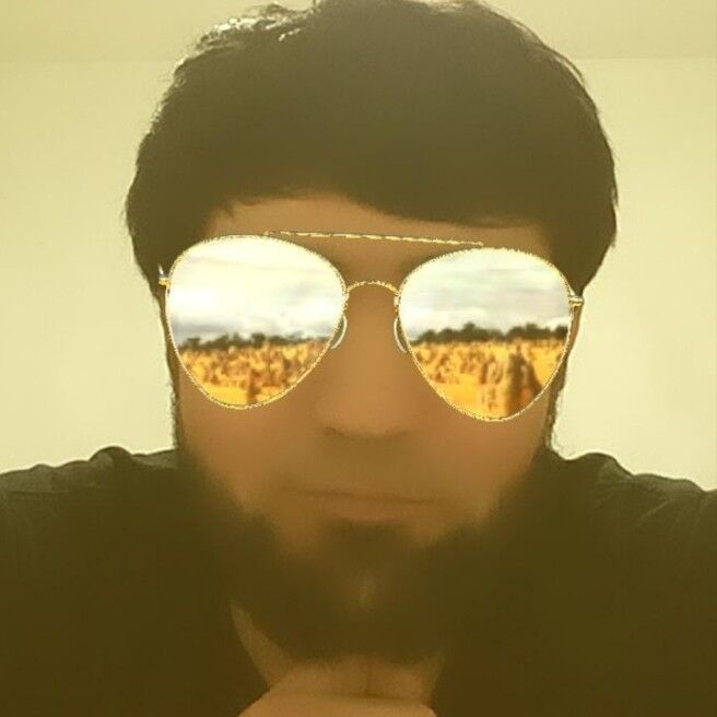  18733999  , 26 ,    