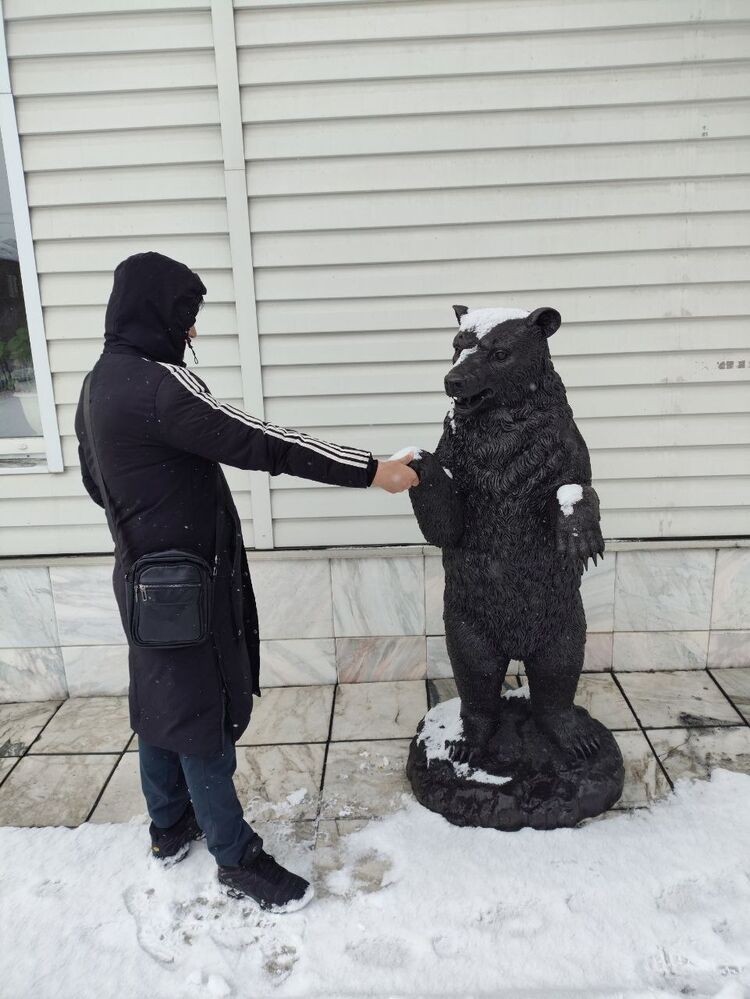 ���� 56279779 ����� �������, 22 ����, ���� ���������� � �������