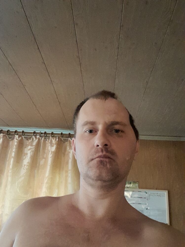  34619949  , 43 ,    