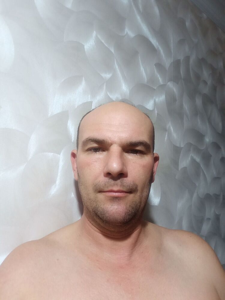  24504849  , 41 ,    