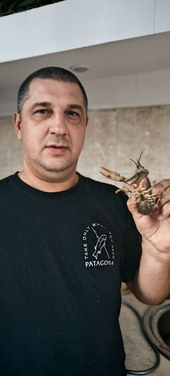 ���������� �����, ���� ������� ������, 42 ����, ������������ ��� c�������� ���������