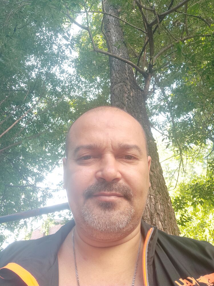 ���� 23456109 ������� ������, 50 ���, ���� ���������� � ������