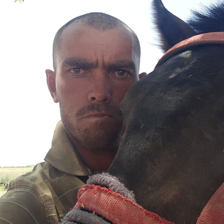 ���� 23687149 ������� ���� �������, 32 ����, ���� ���������� � �����