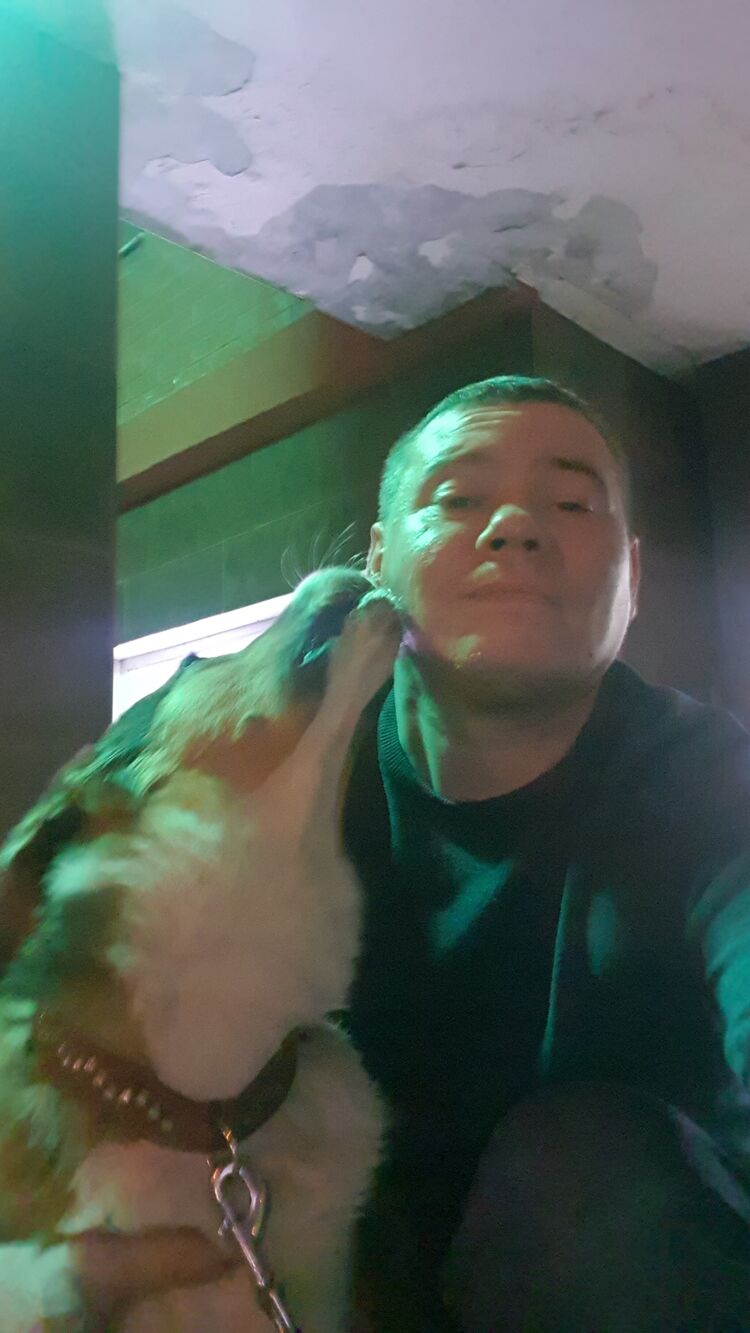 ���������� ������, ���� ������� ����, 41 ���, ������������ ��� ������, ����� � ���������