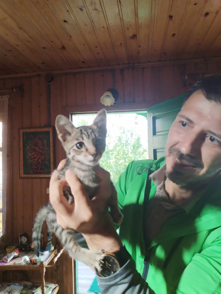  41016259  Ramaz, 45 ,    