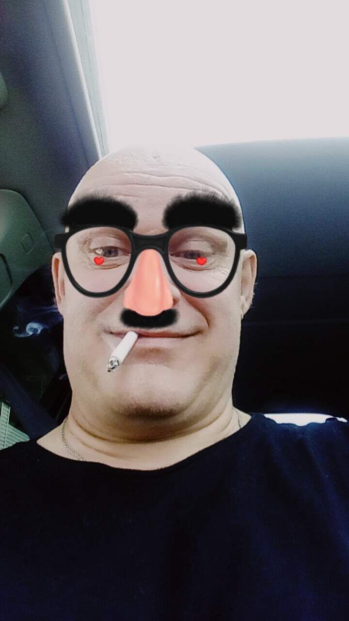  41577789  , 62 ,    