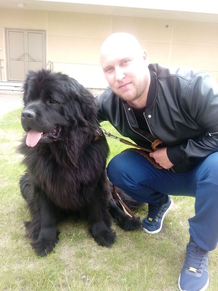  ,   ILYA, 43 ,     , c 