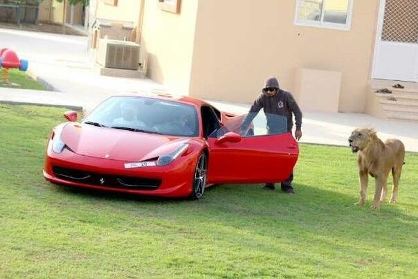 ���� 5428939 ������� Damir, 34 ����, ���� ���������� � �������