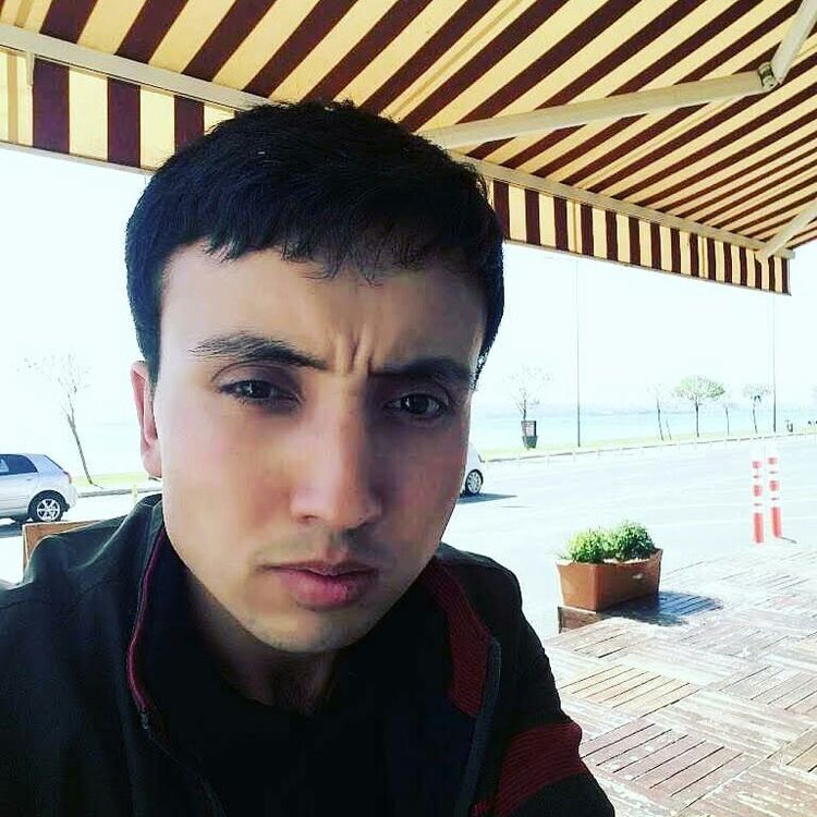  33968049  , 33 ,    