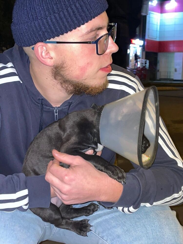 ���������� ������������, ���� ����� �������, 23 ����, ������������ ��� ������, ����� � ���������