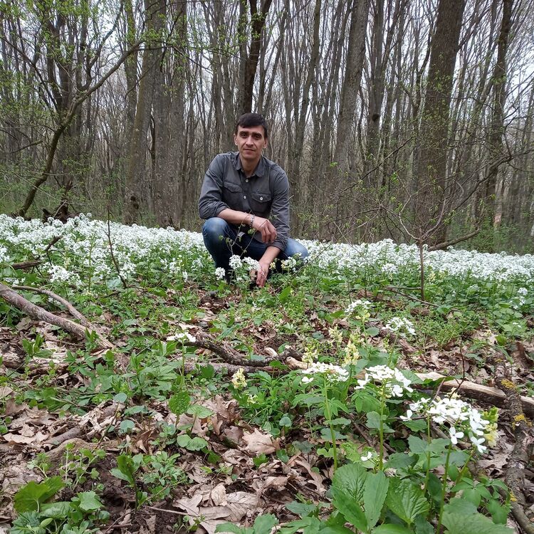 ���������� ����������, ���� ������� �������, 49 ���, ������������ ��� ������, ����� � ���������, c�������� ���������