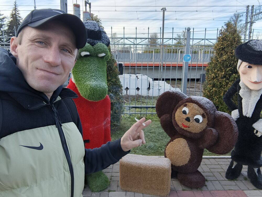 ���� 56063869 ������� ���������, 43 ����, ���� ���������� � ������