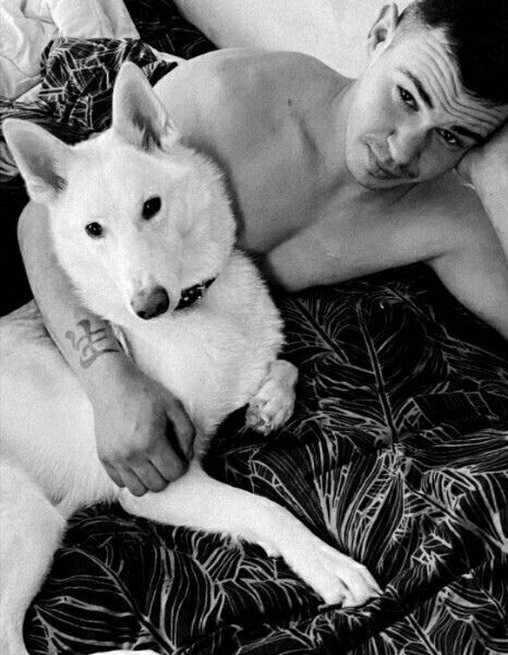 ���������� ������, ���� ������� ���������, 28 ���, ������������ ��� ������, ����� � ���������