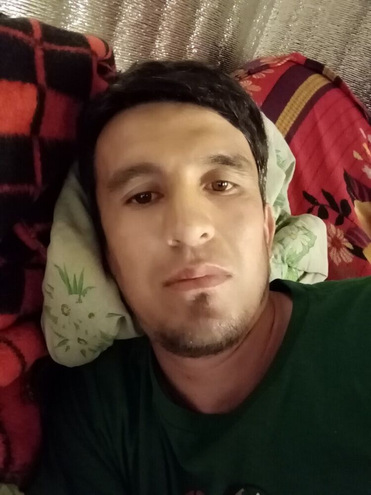  20314909  , 38 ,    