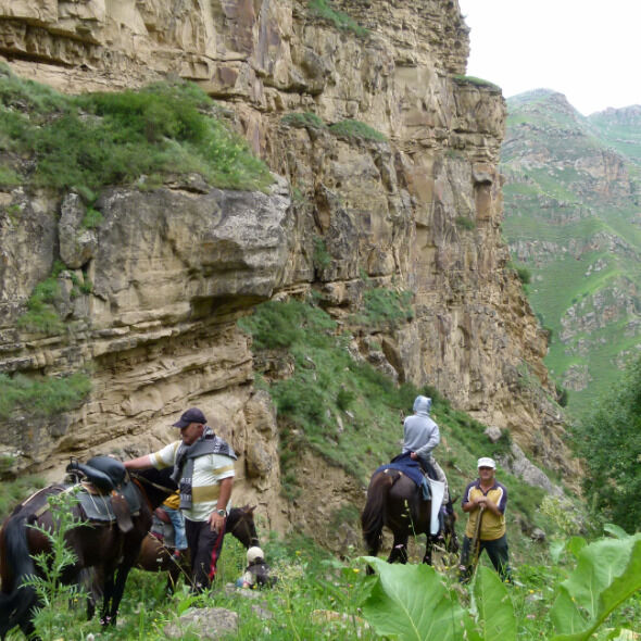 ���� 55092909 ������� �������, 79 ���, ���� ���������� � ���������