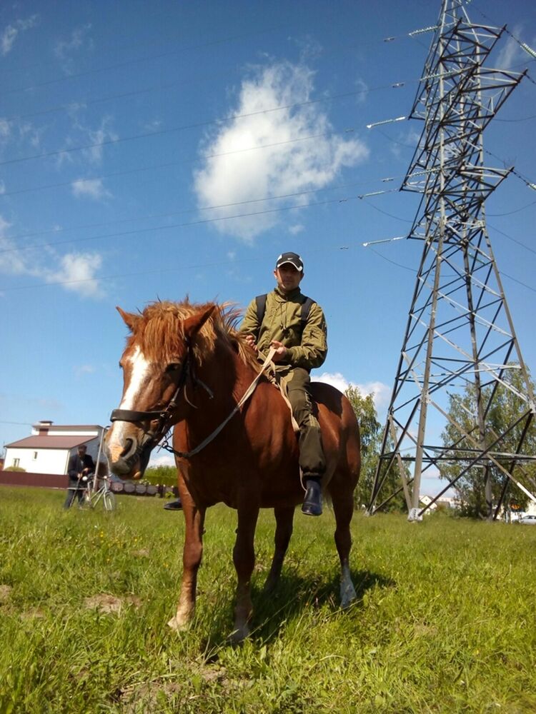  23225779  , 34 ,    