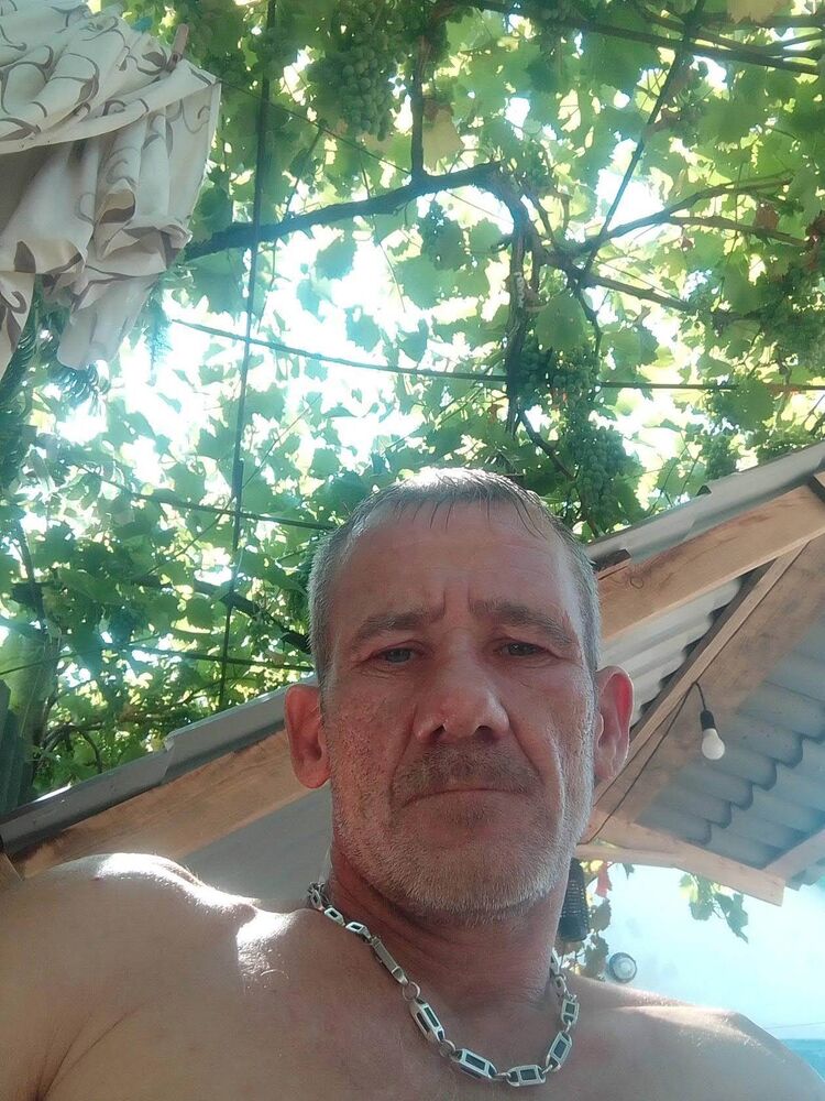  48747229  , 44 ,    
